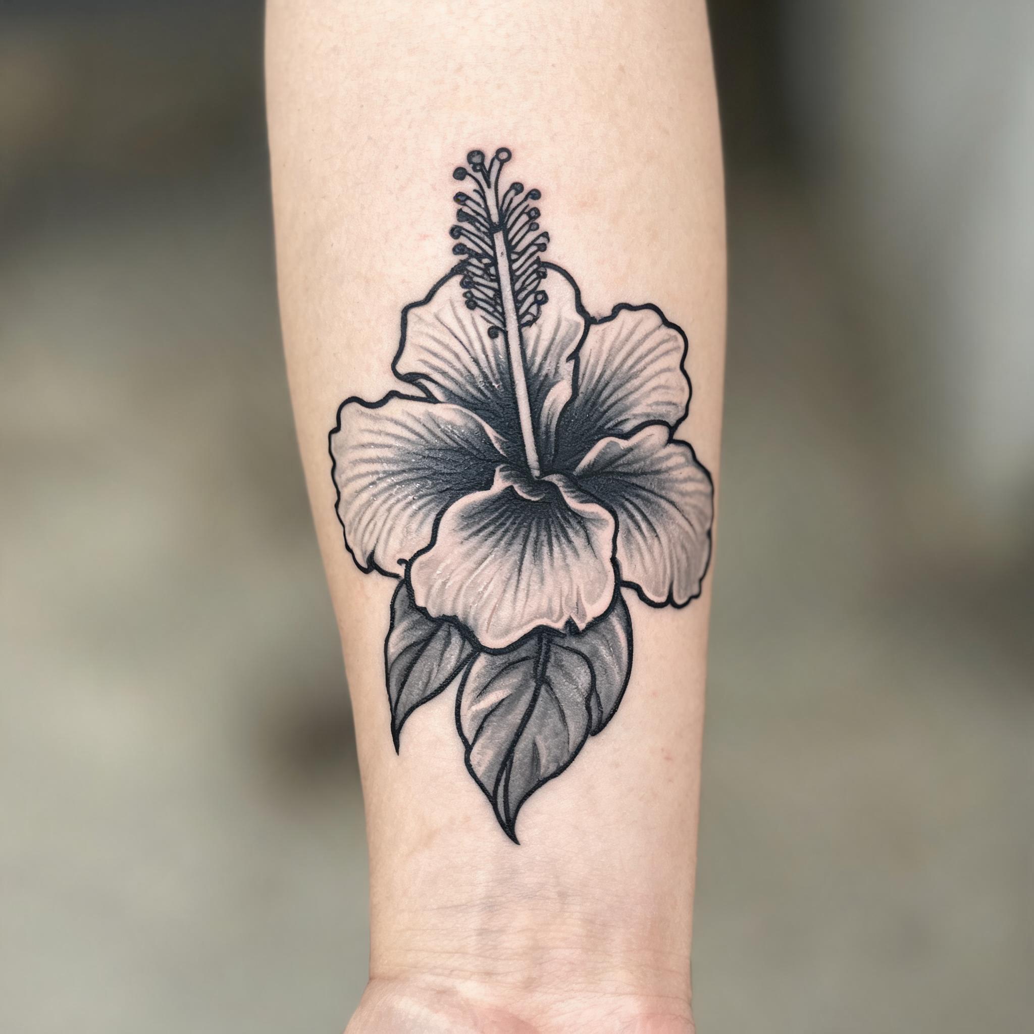 A black and grey American traditional hibiscus flower tattoo image shown on an outer forearm against a clean neutral background.