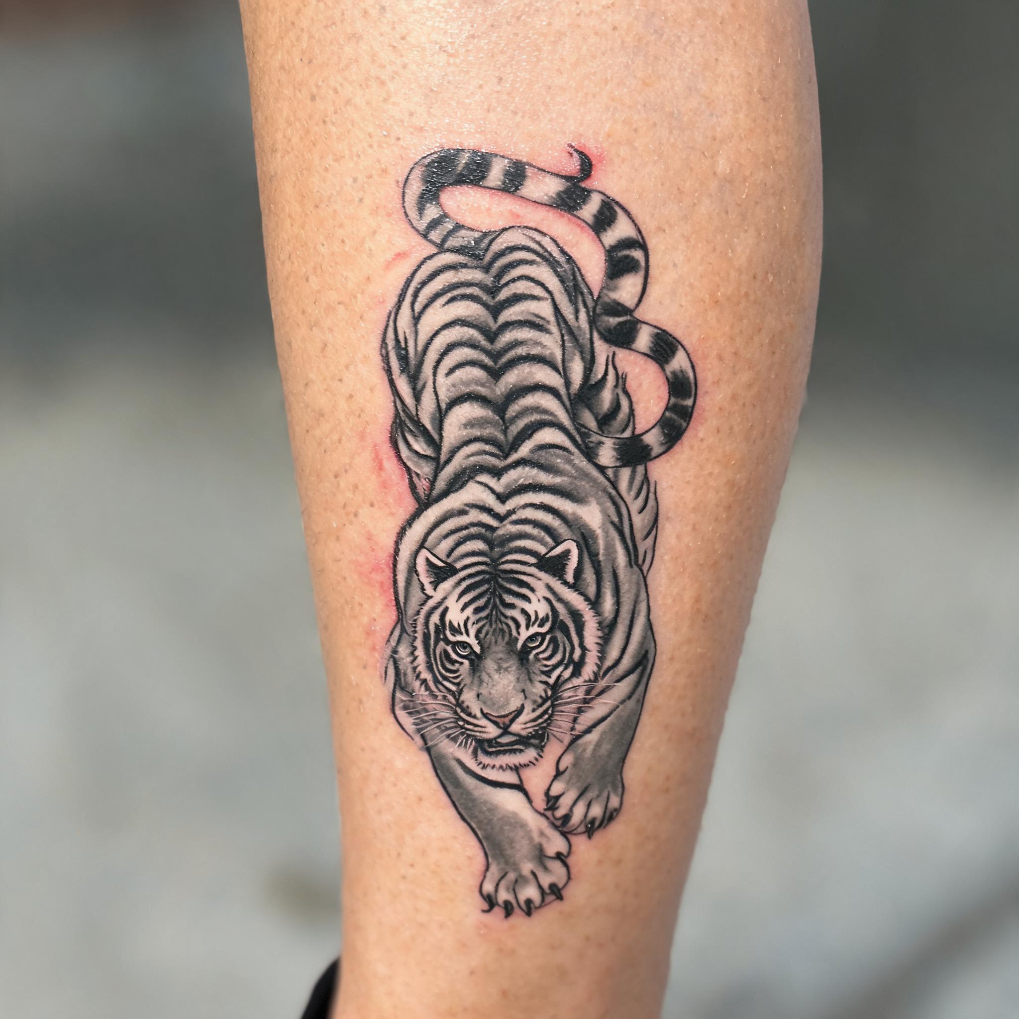 Black and grey Japanese tiger tattoo lettering on a shin, shown on real skin against a clean neutral background as a tattoo image.