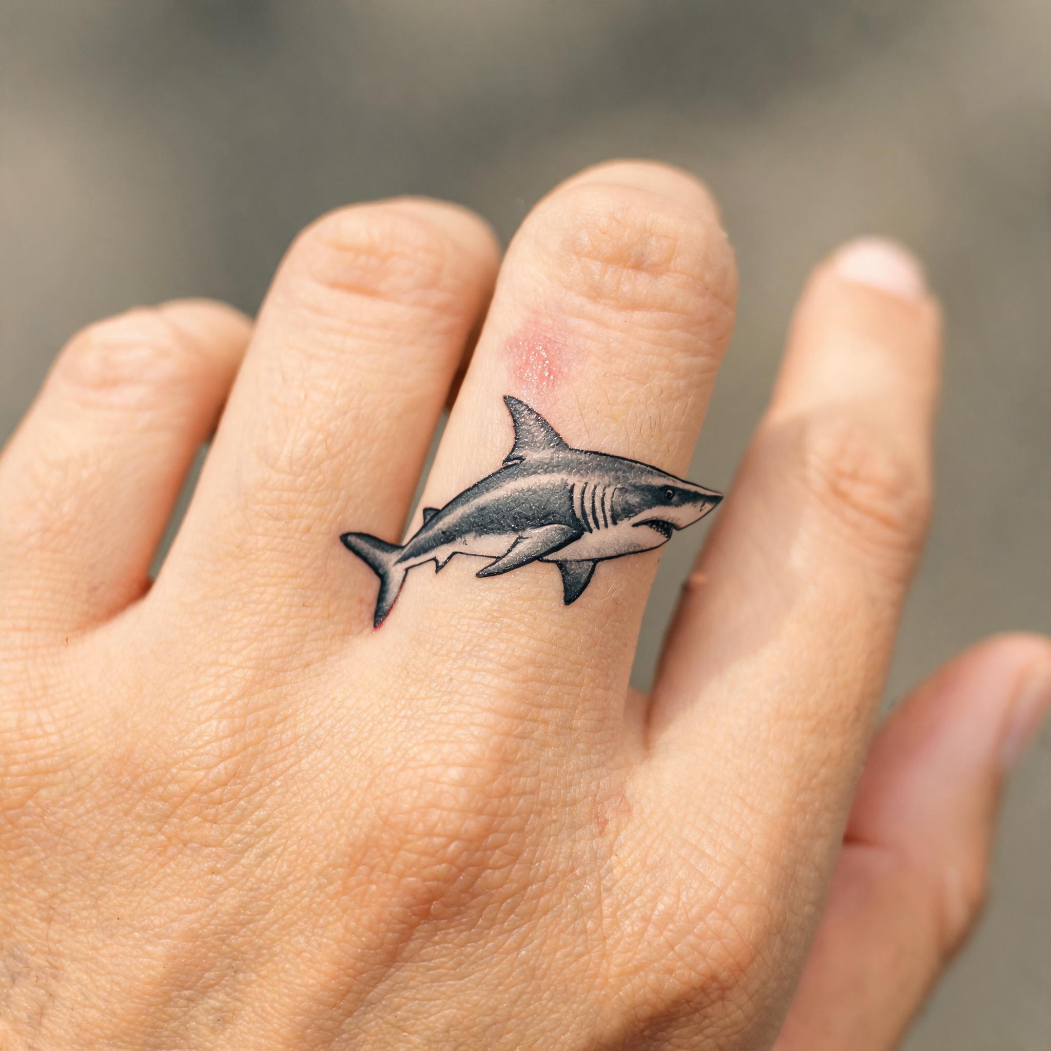 Illustrative great white shark tattoo design on fingers, black and grey ink with soft greywash shading on white background.