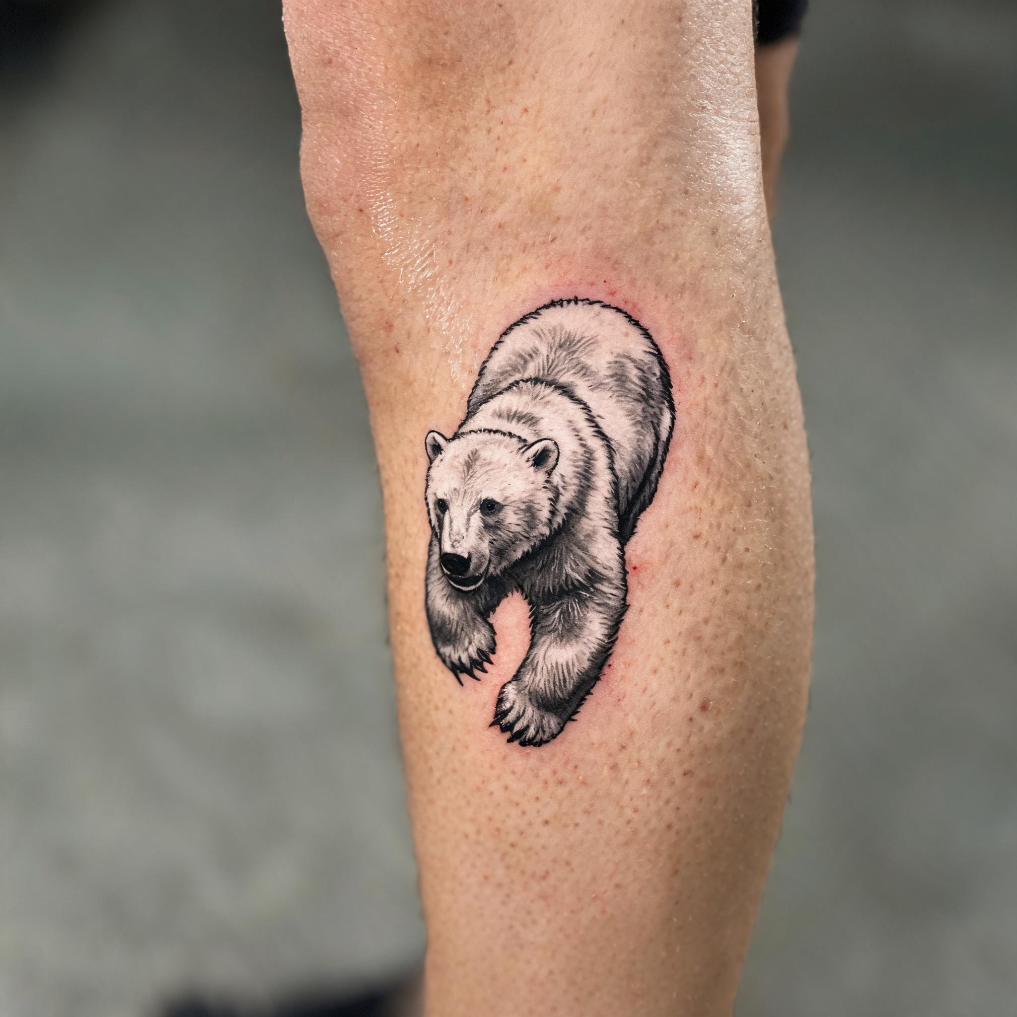 Illustrative black and grey polar bear tattoo image on the calf, shown on skin against a clean neutral background.