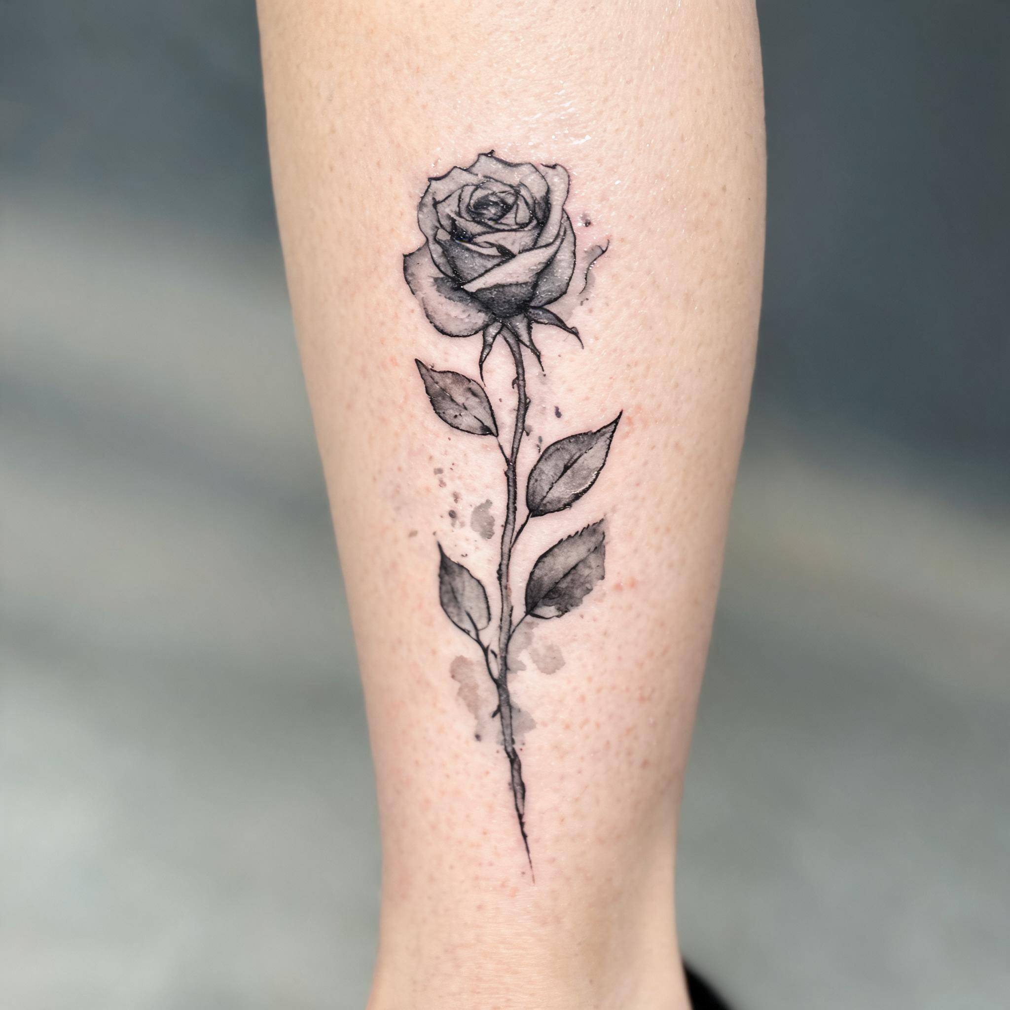 A black rose tattoo design in watercolor style on a shin, shown on white background as a tattoo image.