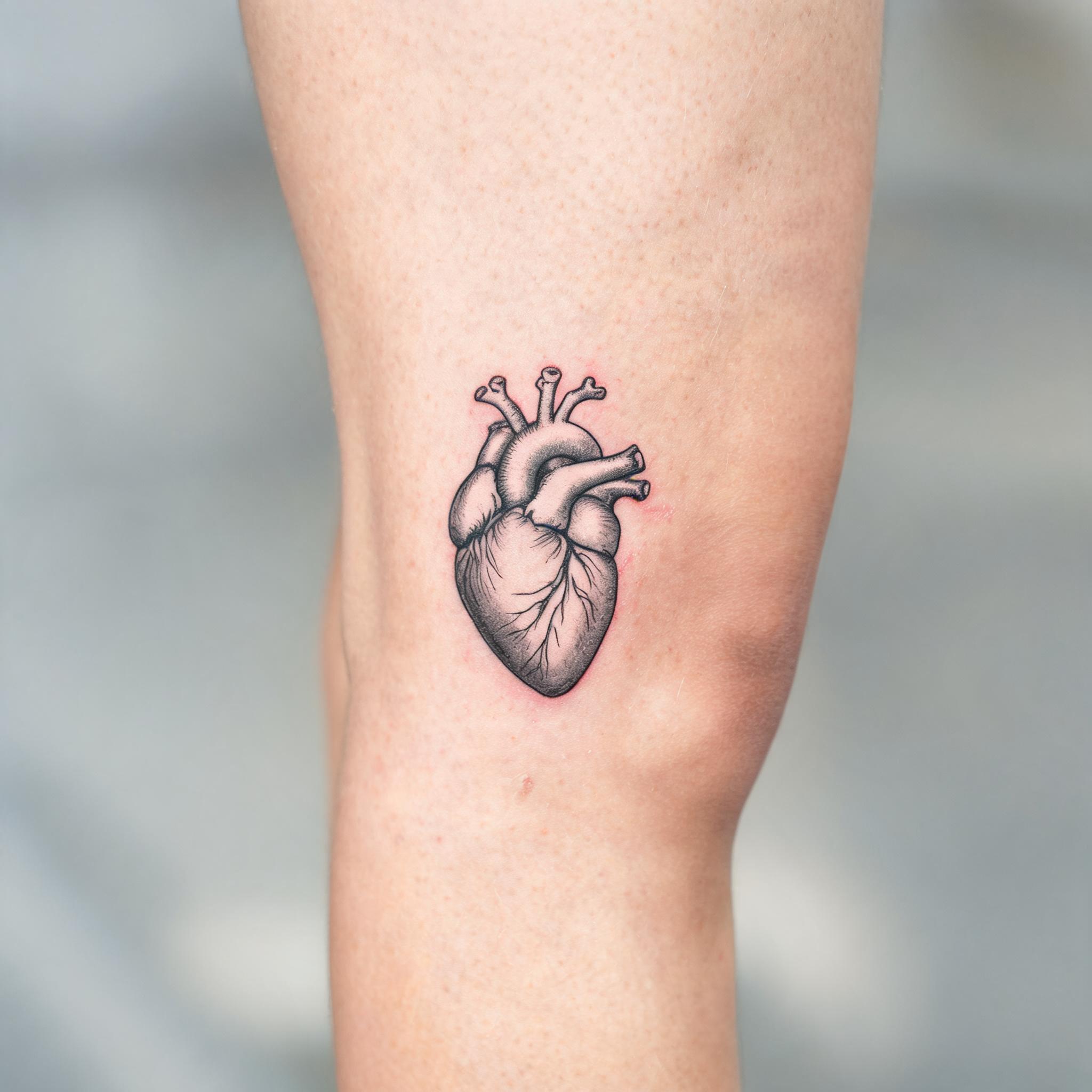 Minimalist anatomical heart tattoo design in black and grey linework on the front thigh, shown on a plain neutral background as a tattoo image.