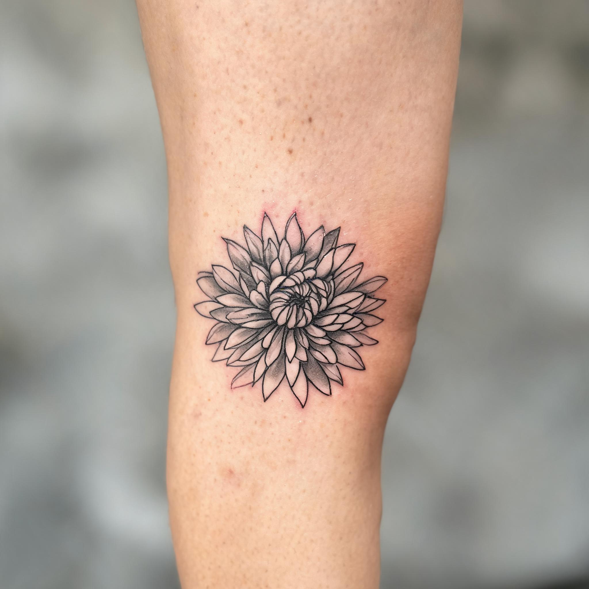 Minimalist chrysanthemum tattoo image shown on a front thigh, black and grey ink on realistic skin against a clean neutral background.