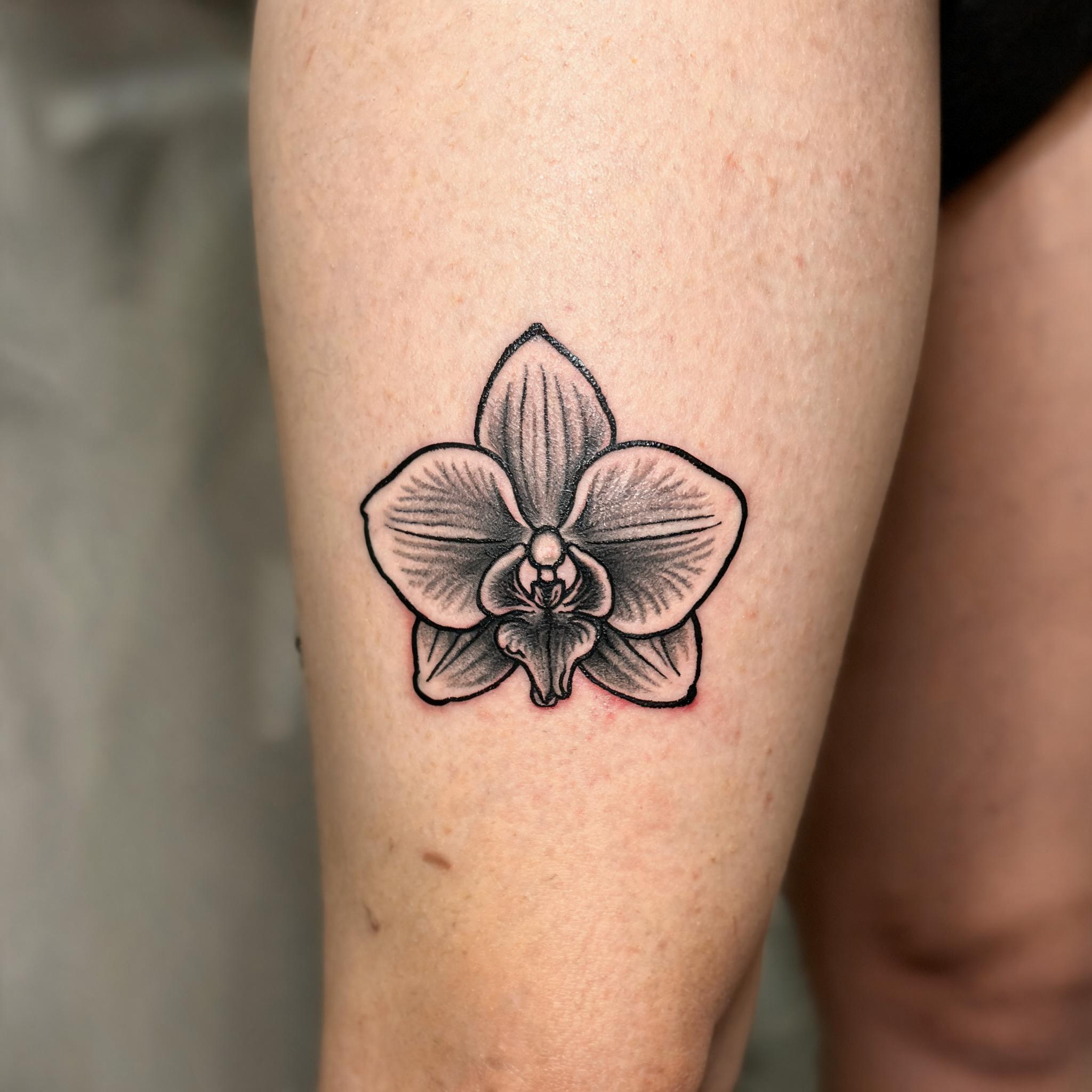 Black and grey American Traditional orchid flower tattoo design on a front thigh, shown on skin against a plain neutral background as a tattoo image.