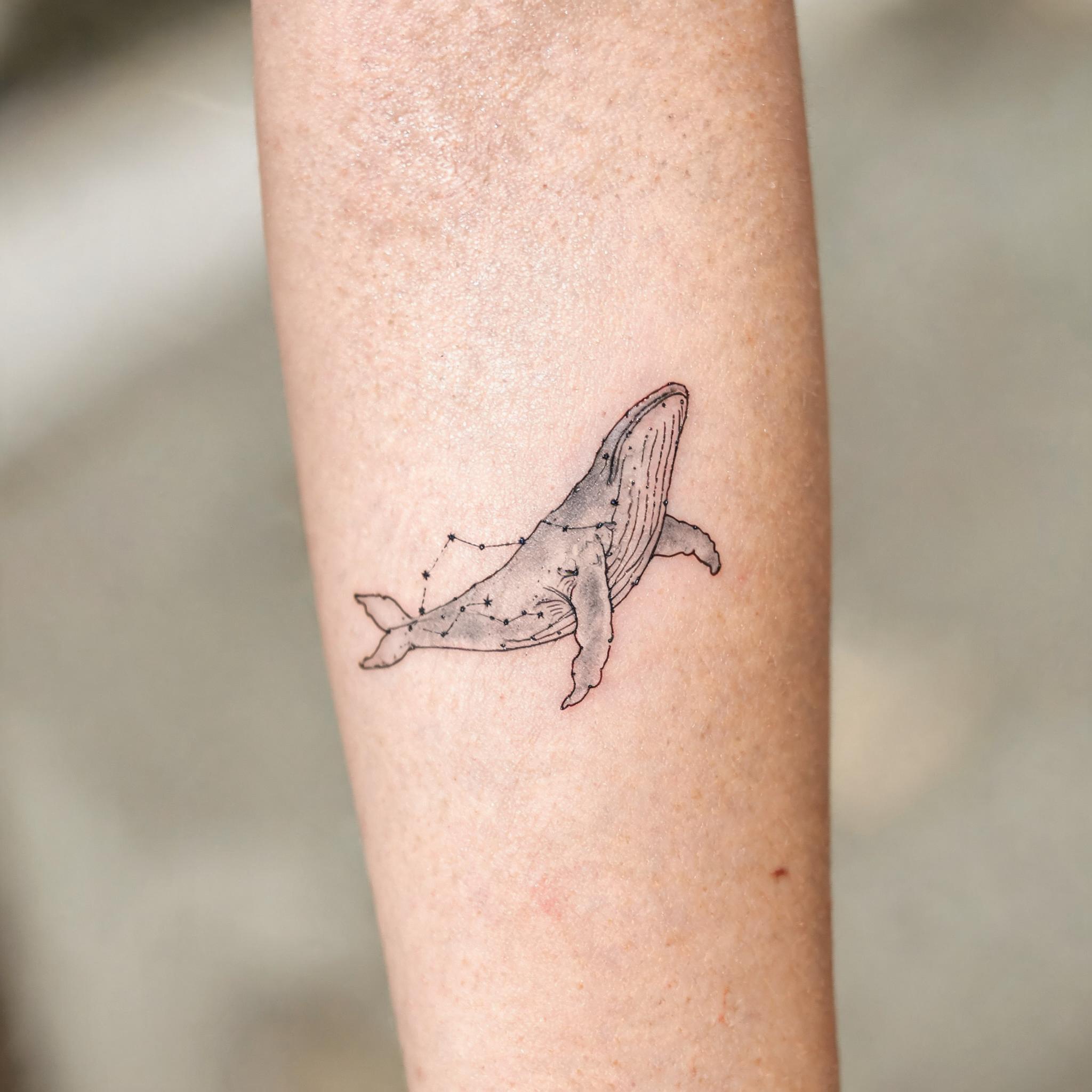 Fine line black and grey humpback whale constellation tattoo on the inner forearm, shown on natural skin in a close-up tattoo photograph.