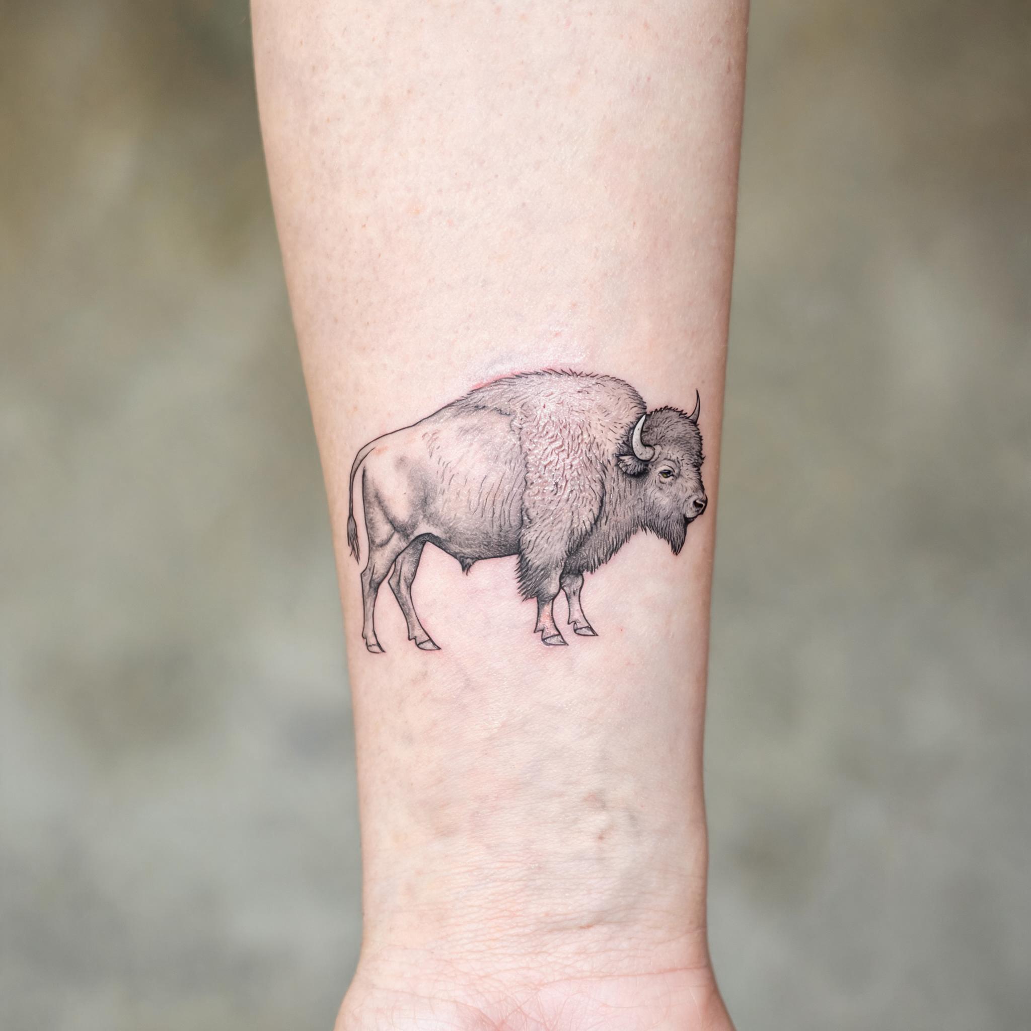 Fine line bison tattoo on an inner forearm, shown in black and grey ink against natural skin in a tattoo image.